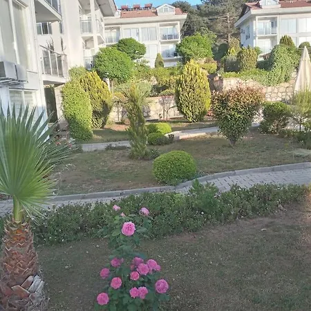 Apartment Orkagarden