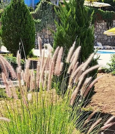 Orkagarden Fethiye